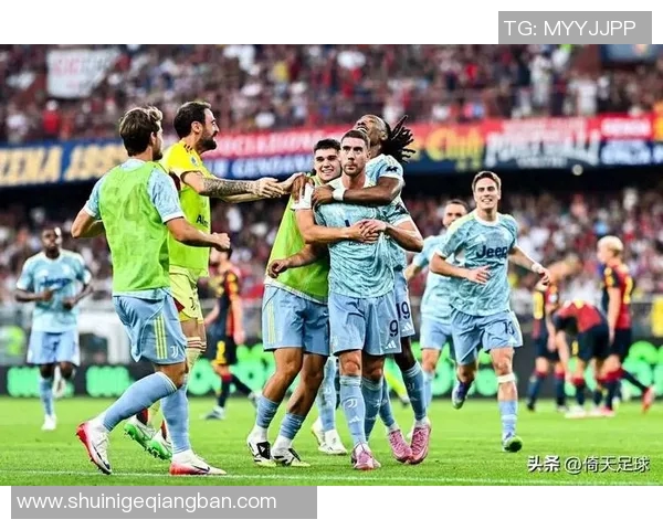 狼队足球明星阵容揭秘他们的实力与成就让人瞩目