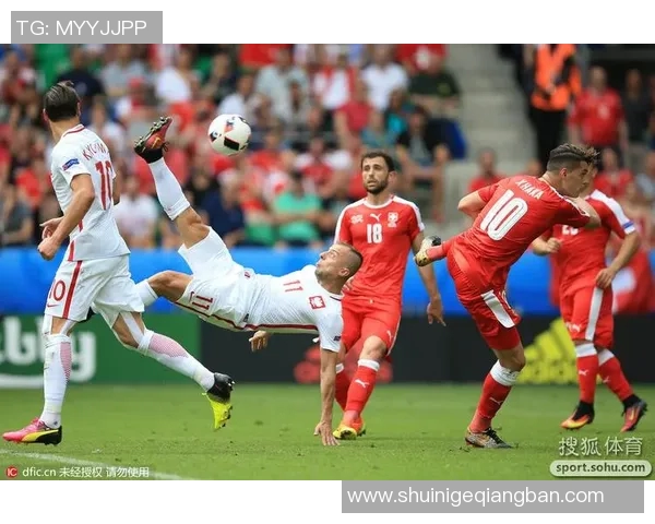 2016欧洲杯啤酒赞助商分析及其对赛事影响的探讨与总结