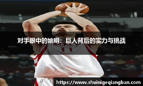 对手眼中的姚明：巨人背后的实力与挑战